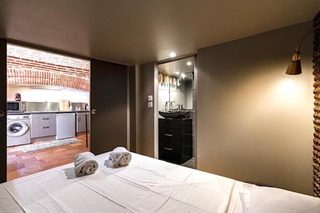 Duplex Climatise Dans Un Monument Historique Apartment Toulouse Exterior photo